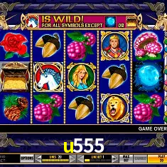 u555 Rio de Janeiro - Bonus Terms